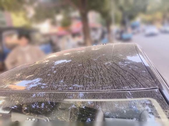 [苏州·苏E] 二手大众朗逸2015款 1.6L 手动风尚版