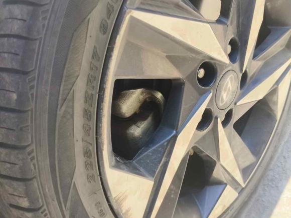 [义乌·浙G] 二手现代伊兰特2021款 1.5L CVT LUX尊贵版