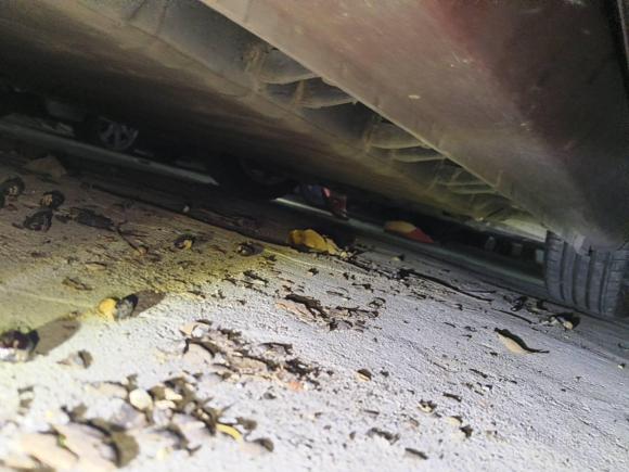 [广州·粤A] 二手众泰众泰E2002018款 Pro