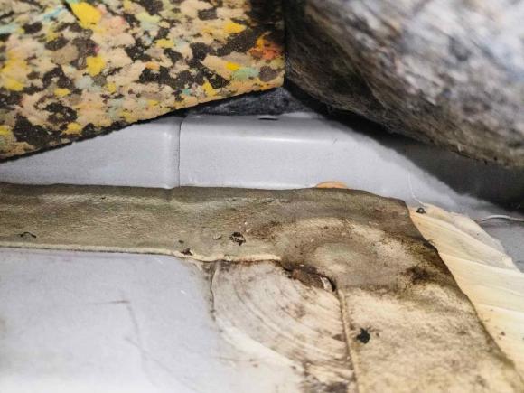 [武汉·鄂A] 二手本田思域2016款 220TURBO CVT豪华版