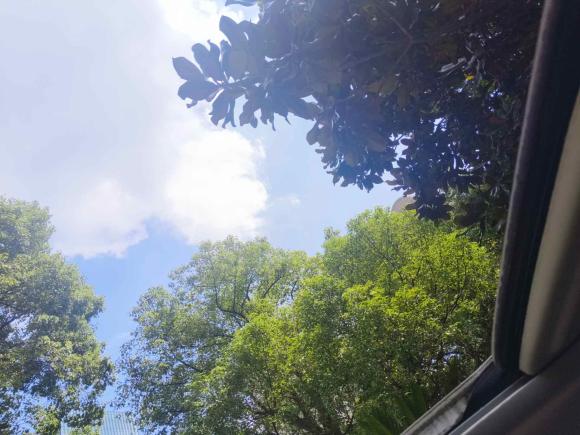 [上海·沪B] 二手本田奥德赛2018款 2.4L 至尊版