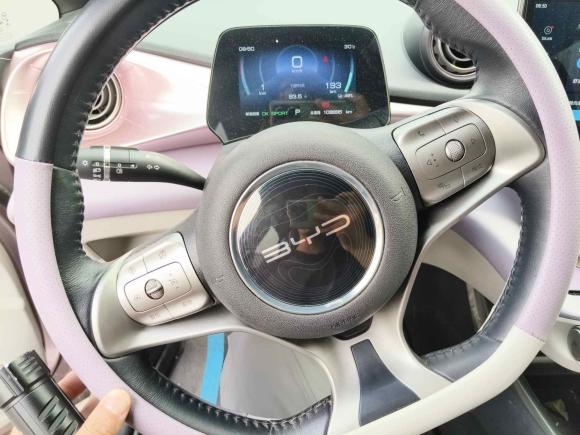 [南京·苏A] 二手比亚迪海豚2021款 405km 时尚版