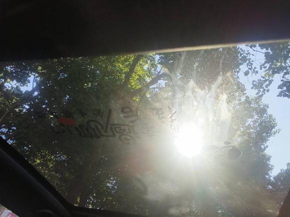 [合肥·皖A] 二手长安长安UNI-T2020款 1.5T 尊贵型