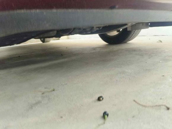 [上海·沪C] 二手别克英朗2019款 18T 自动互联精英型 国VI