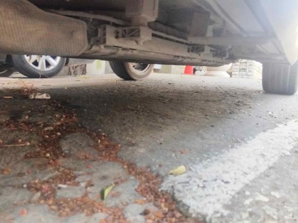 [温州·浙C] 二手长安长安UNI-K 智电iDD2022款 蓝鲸iDD 130km 1.5T 卓越型