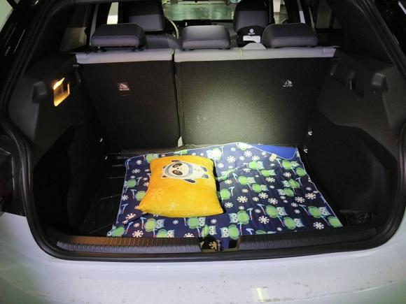 [上海·沪A] 二手大众大众ID.32022款 Pro 极智版