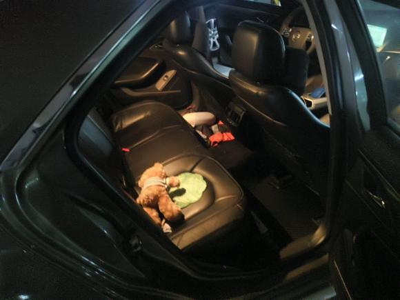 [上海·鲁D] 二手凯迪拉克凯迪拉克CTS2010款 3.6旗舰高性能版