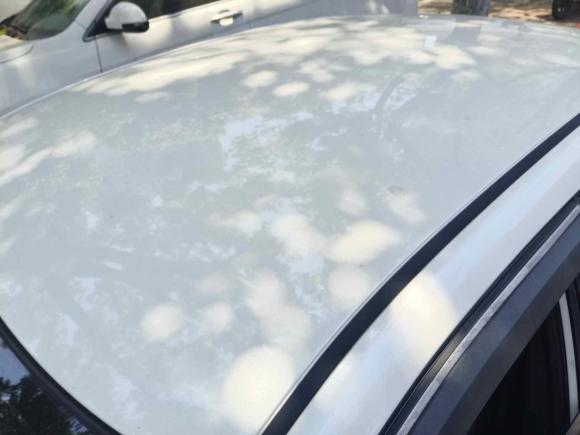 [苏州·苏E] 二手启辰启辰D60EV2023款 PLUS 舒适版RJ型