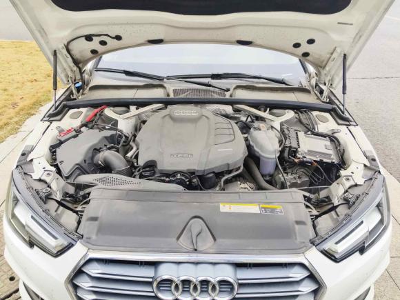 [无锡·苏B] 二手奥迪奥迪A4L2019款 40 TFSI 时尚型 国VI