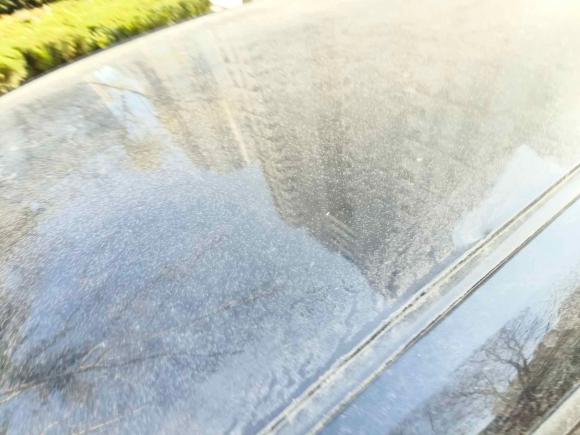 [青岛·黑C] 二手丰田丰田C-HR2018款 2.0L 领先版 国V