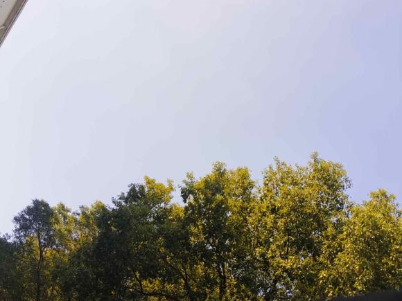 [上海·鲁N] 二手大众桑塔纳2013款 1.6L 自动舒适版