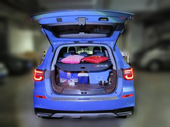 [成都·川A] 二手荣威荣威RX52020款 PLUS 300TGI 自动Ali国潮豪华版