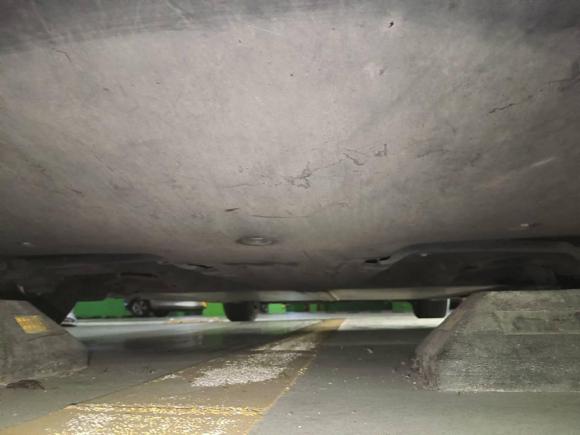 [广州·粤A] 二手特斯拉Model 32019款 标准续航后驱升级版