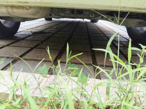 [武汉·鄂W] 二手别克别克GL62019款 18T 6座互联尊贵型 国V