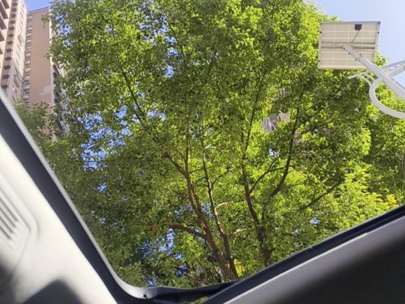 [武汉·鄂F] 二手大众速腾2022款 200TSI DSG超越版