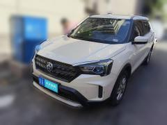 [济南·鲁A] 启辰启辰T602022款 1.6L 手动智观版