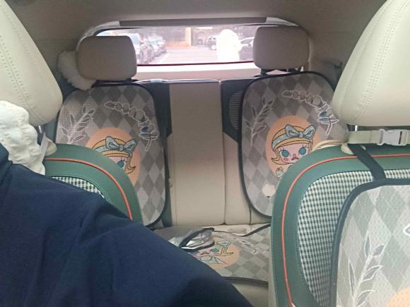 [杭州·浙A] 二手欧拉欧拉好猫2023款 501km长续航 尊贵型 磷酸铁锂