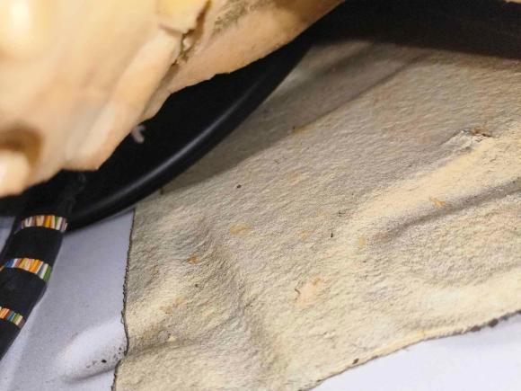 [深圳·粤V] 二手福特翼虎2015款 1.5L GTDi 四驱精英型