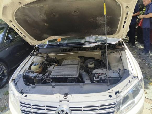 [宁波·浙B] 二手大众朗行2013款 1.6L 自动舒适型