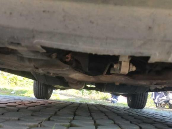 [南京·皖L] 二手哈弗哈弗M62017款 1.5T 手动两驱精英型