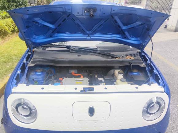 [杭州·浙A] 二手欧拉欧拉黑猫2021款 301km 基础型