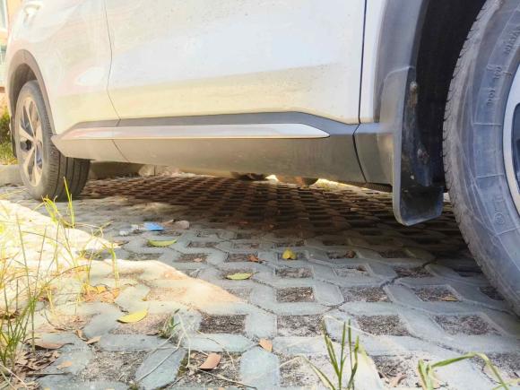 [上海·沪A] 二手比亚迪宋PLUS新能源2021款 DM-i 110KM 旗舰PLUS