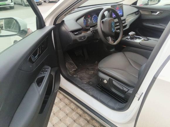 [西安·吉A] 二手红旗红旗E-QM52024款 450km 出行版