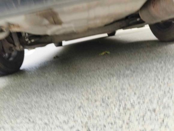 [青岛·鲁U] 二手日产阳光2015款 1.5XE CVT舒适版