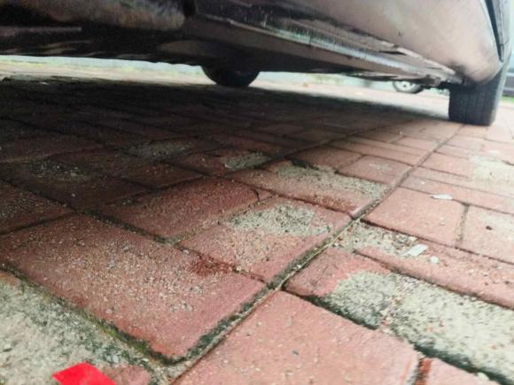 [青岛·鲁B] 二手大众迈腾2016款 1.8TSI 智享舒适型