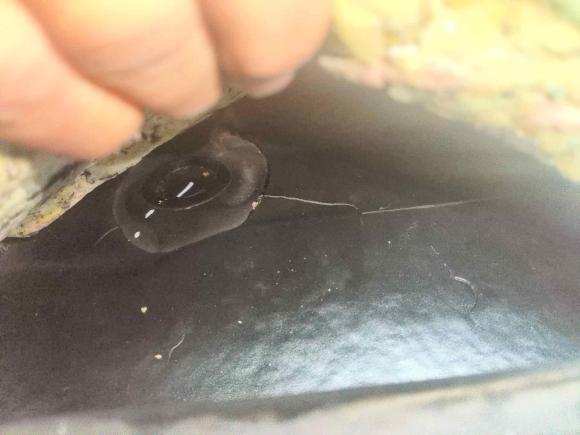 [广州·粤J] 二手丰田皇冠2010款 2.5L Royal 真皮天窗版