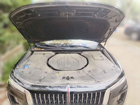 [青岛·鲁B] 二手红旗红旗H92020款 2.0T 智联旗畅版