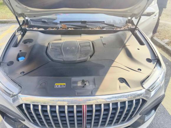 [上海·浙F] 二手红旗红旗HS52019款 2.0T 智联旗享版