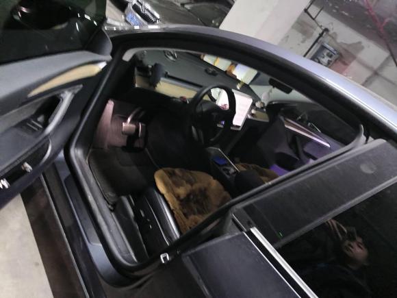 [上海·沪A] 二手特斯拉Model Y2022款 改款 后轮驱动版