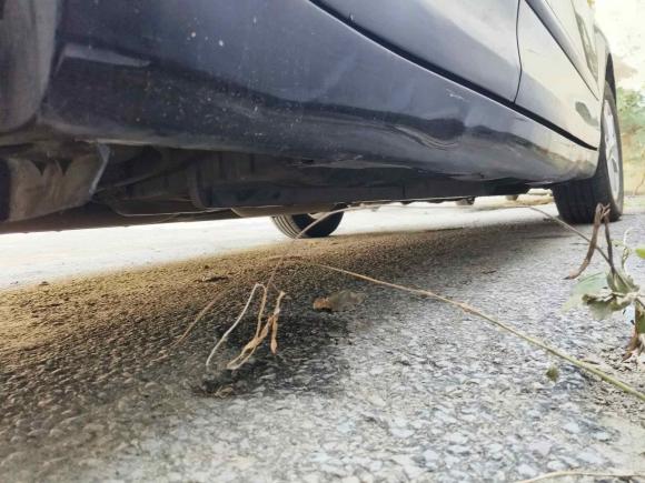 [上海·沪G] 二手丰田凯美瑞2009款 200G 豪华版