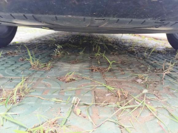 [苏州·苏U] 二手沃尔沃沃尔沃S902022款 B5 智逸豪华版