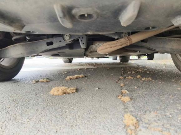 [济南·鲁A] 二手丰田卡罗拉2019款 1.2T S-CVT GL-i精英版
