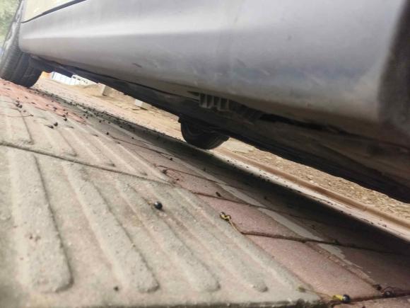 [苏州·苏E] 二手MINIMINI2015款 1.5T COOPER Fun 五门版