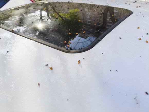 [上海·沪C] 二手别克君威2019款 20T 豪华型 国VI