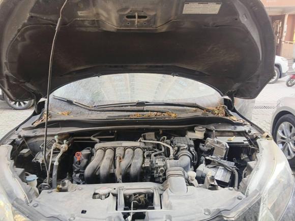 [上海·沪B] 二手本田缤智2015款 1.5L CVT两驱舒适型