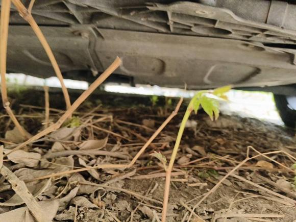 [上海·湘H] 二手现代名图2016款 1.8L 自动尊贵型DLX