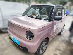 [广州·粤A] 吉利银河熊猫2023款 熊猫mini 200km 灵动熊