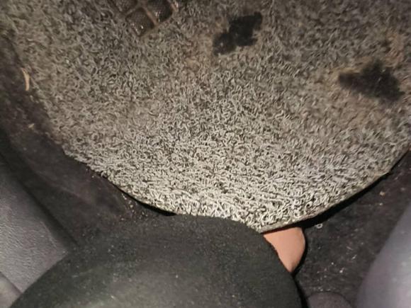 [嘉兴·浙F] 二手福特福睿斯2019款 改款 1.5L 自动质享型 国VI