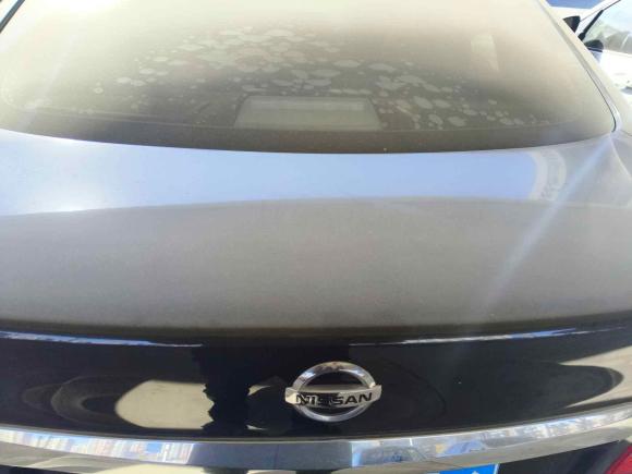 [青岛·鲁B] 二手日产轩逸2019款 1.6XV CVT智联尊享版 国V