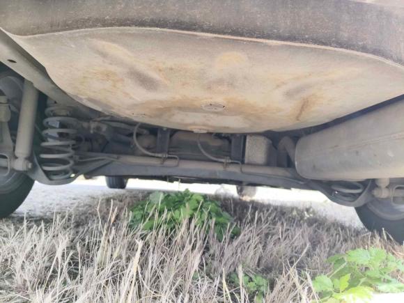 [青岛·鲁B] 二手福特福睿斯2015款 1.5L 自动舒适型