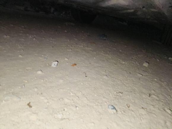 [南京·苏L] 二手奔驰奔驰GLA2016款 GLA 220 4MATIC 时尚型