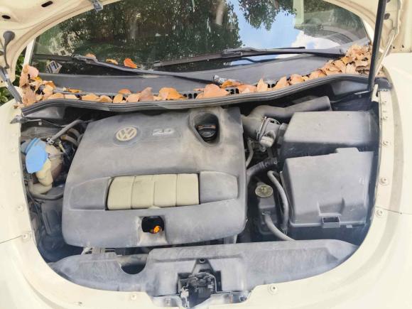 [宁波·浙B] 二手大众甲壳虫2008款 2.0 AT 标配版