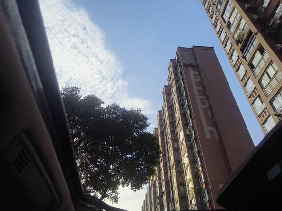 [上海·苏B] 二手大众T-ROC探歌2021款 280TSI DSG两驱舒享智联版