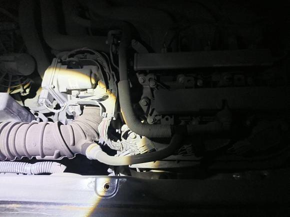 [杭州·浙A] 二手smartsmart fortwo2015款 1.0L 52千瓦硬顶灵动版