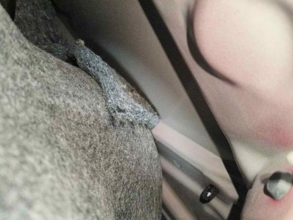 [济南·鲁A] 二手丰田卡罗拉2014款 1.6L CVT GL