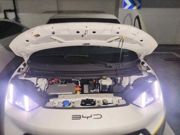 [上海·湘C] 二手比亚迪海鸥2023款 自由版